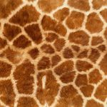 Animal-Fur-Skin-Background-8